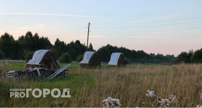 В школах Челябинской области откроют агротехнологические классы