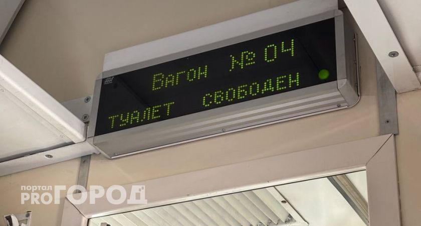 В Челябинской области транспортная полиция поймала двух "путешественников", пытавшихся попасть к морю в вагоне с углем