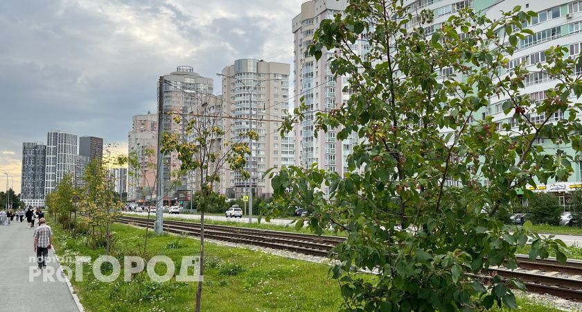 Новый сквер в Ленинском районе: мэр Челябинска оценил преображение территории на Агалакова и анонсировал дальнейшие улучшения