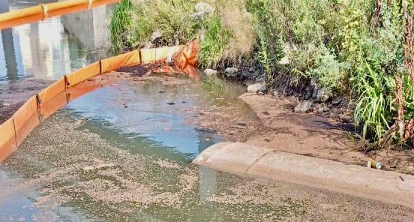 Прокуратура Челябинска принимает меры в борьбе с загрязнением рек Игуменка и Миасс