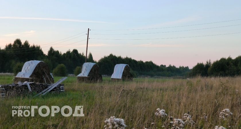 В Челябинской области заготовлено 279 тысяч тонн кормов