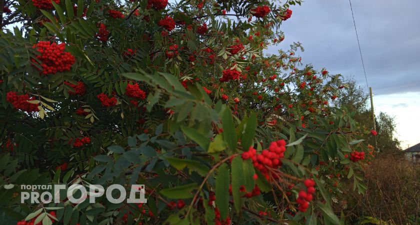 В Челябинской области 29 августа потеплеет до +22 градусов