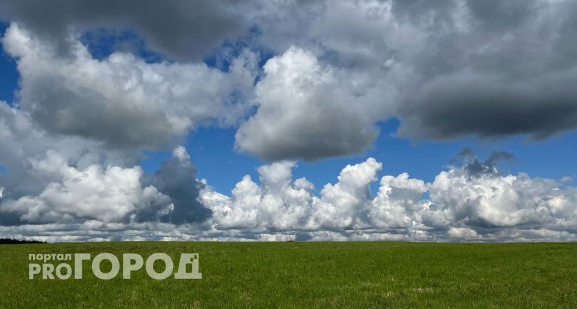 Синоптики предупредили жителей Челябинской области об аномальной жаре