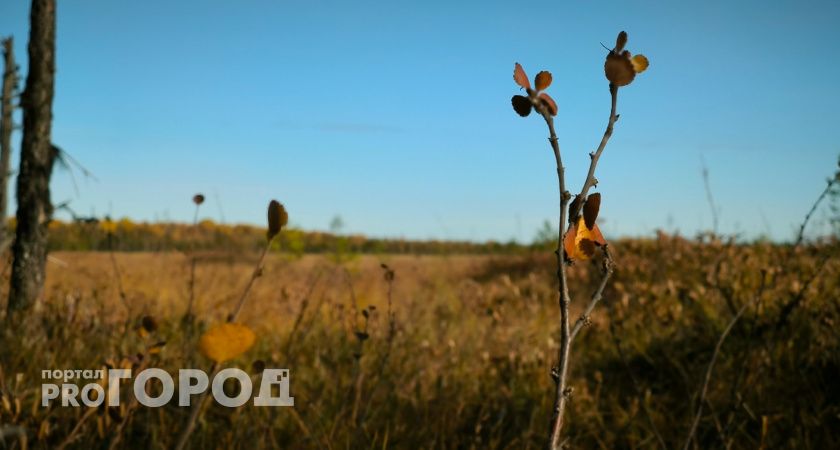 В Челябинске продолжается бабье лето: 5 сентября обещают +29 градусов тепла