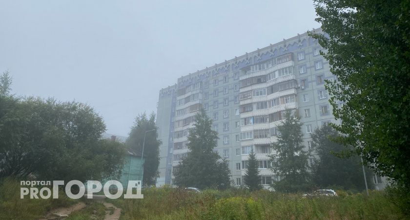 Челябинскую область ждут заморозки на выходных