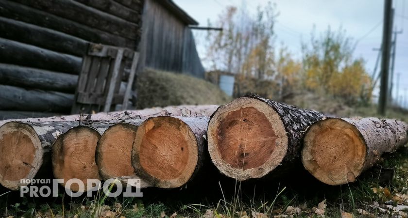 В Челябинской области 70-летний пенсионер незаконно срубил деревья на 600 тысяч рублей
