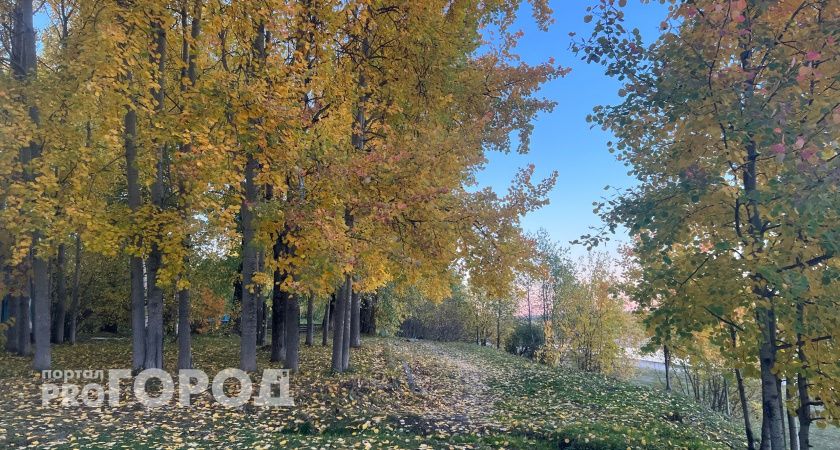 Заморозки до -6 градусов: в Челябинской области объявили штормовое предупреждение 