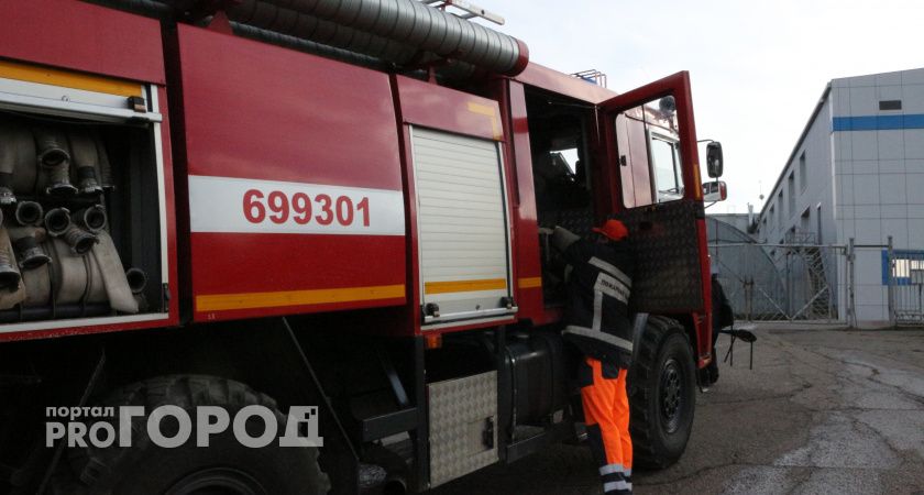 В Челябинской области школьник помог потушить пожар 