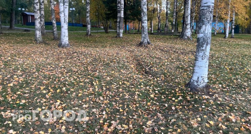 В Челябинской области 3 октября похолодает до -8 градусов 