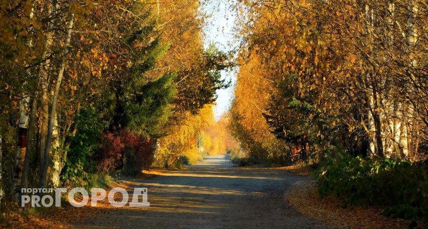 В Челябинской области 10 октября потеплеет до +18 градусов