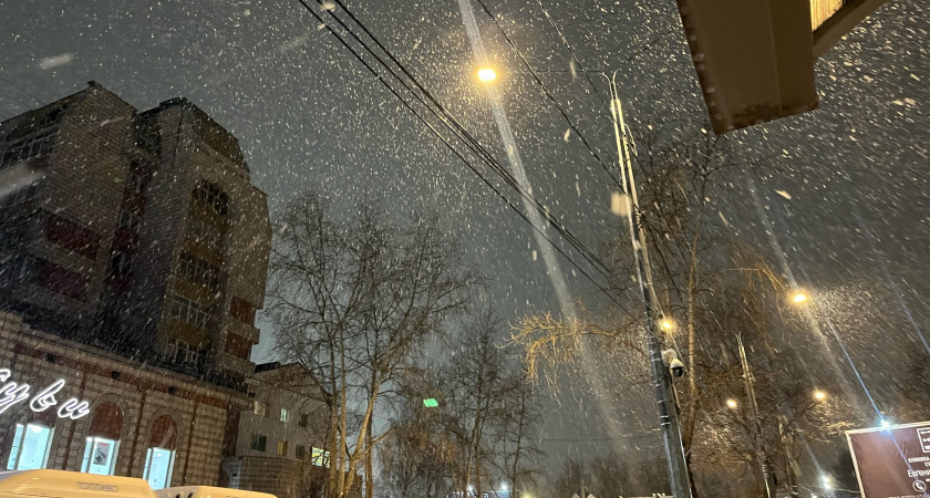 Снеговые облака и порывистый ветер: прогноз погоды в Челябинской области на 29 октября