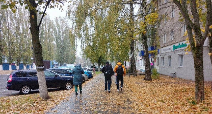 Не делай добра и не давай денег в долг: вот почему нужно всегда остерегаться тех, кому вы помогаете - мудрые слова