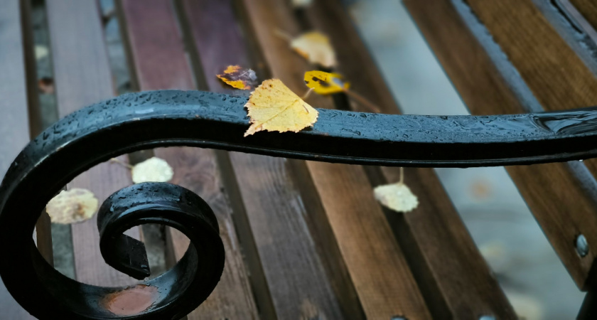 Октябрь прощается теплом:  прогноз погоды в Челябинской области на 31 октября