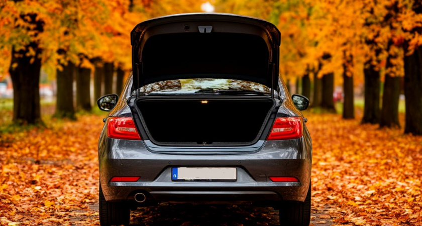 Водителям грозит лишение прав за грязные номера: что срочно положить в багажник