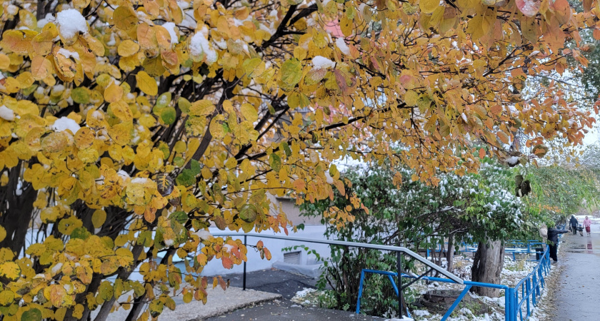 Пасмурно и небольшие осадки: прогноз погоды в Челябинской области на 1 ноября