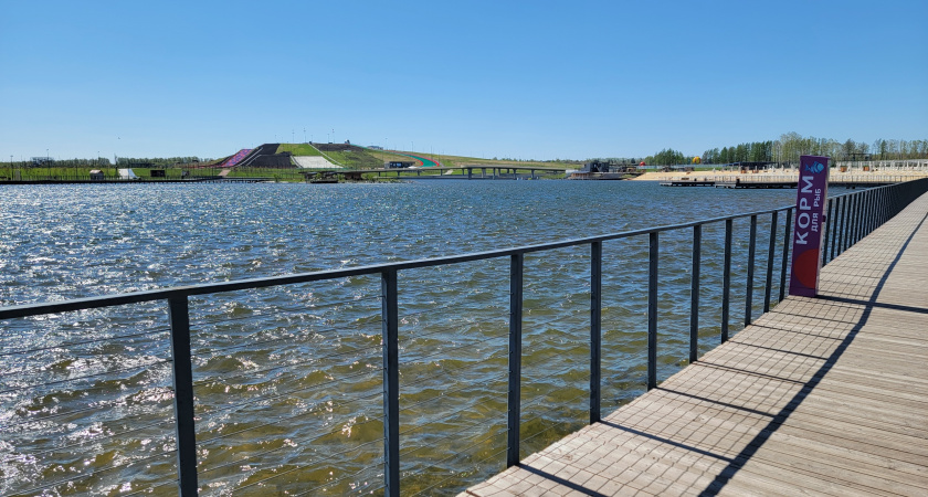 В Челябинской области увеличат уровень господдержки для рыбоводческих хозяйств