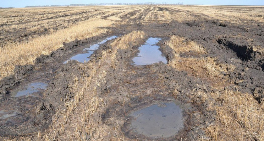 В Челябинской области бизнесмен заплатит штраф за разлив навоза 