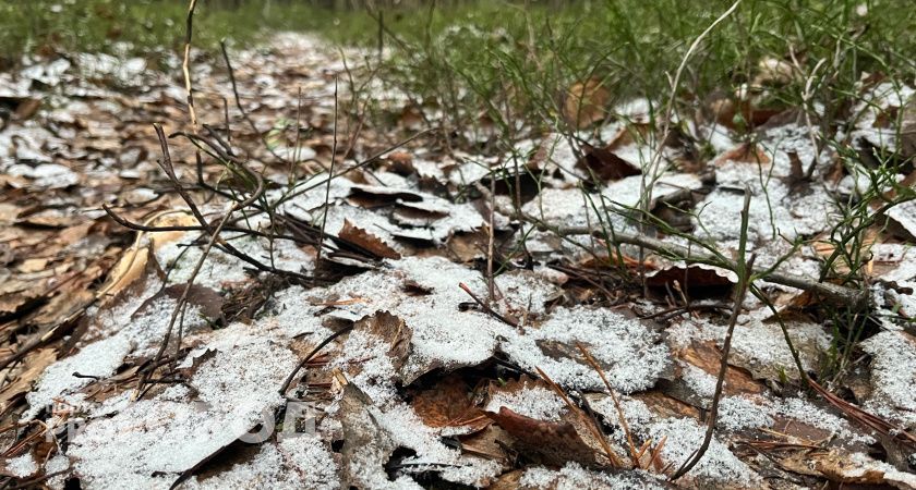 В Челябинской области 18 ноября прогнозируют гололедицу и снег