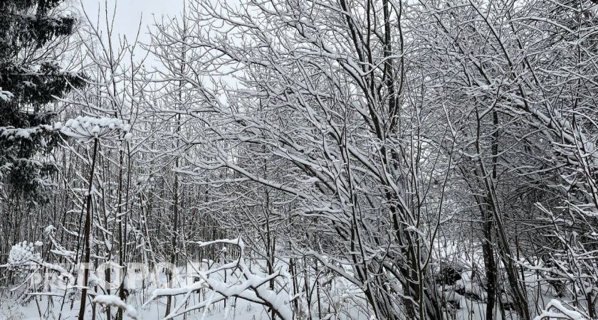 В Челябинскую область 24 ноября придут морозы и гололед 