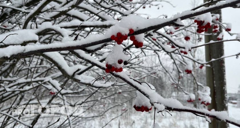 Мокрый снег и гололед ожидаются в Челябинской области 25 ноября 