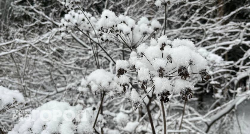 В Челябинской области 27 ноября похолодает до -7 градусов
