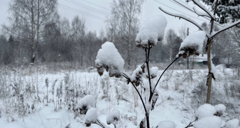 В Челябинской области в начале декабря ожидается аномальное потепление с дождем