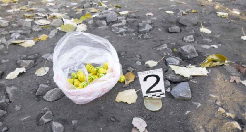 Полицейские в Челябинской области изъяли у женщины 90 доз сильнодействующего наркотика