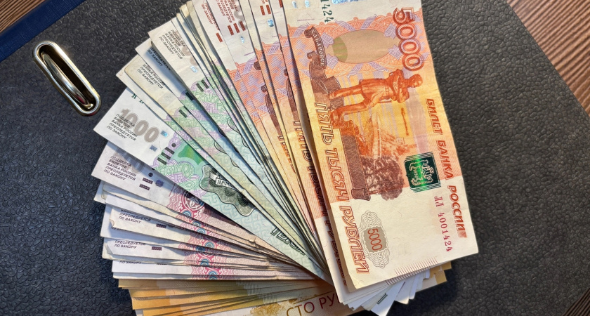 Житель Челябинской области похитил у государства 350 тысяч рублей на несуществующий бизнес