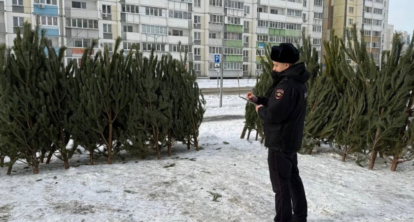 В Челябинске изъяли более тысячи новогодних елей в ходе масштабных полицейских рейдов