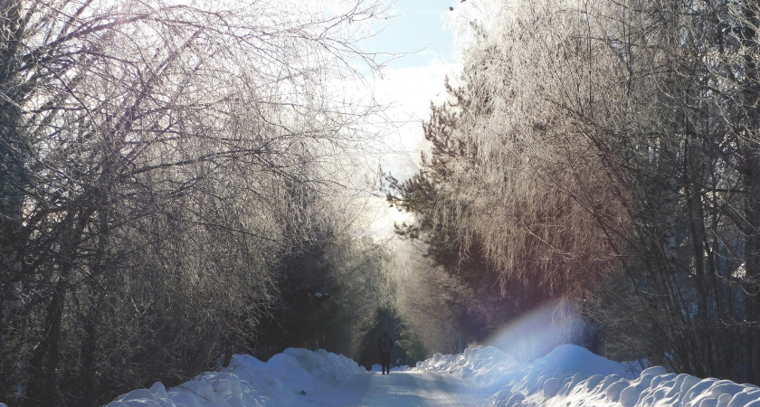 В Челябинской области в четверг прогнозируют морозы до -35 градусов и гололедицу на дорогах
