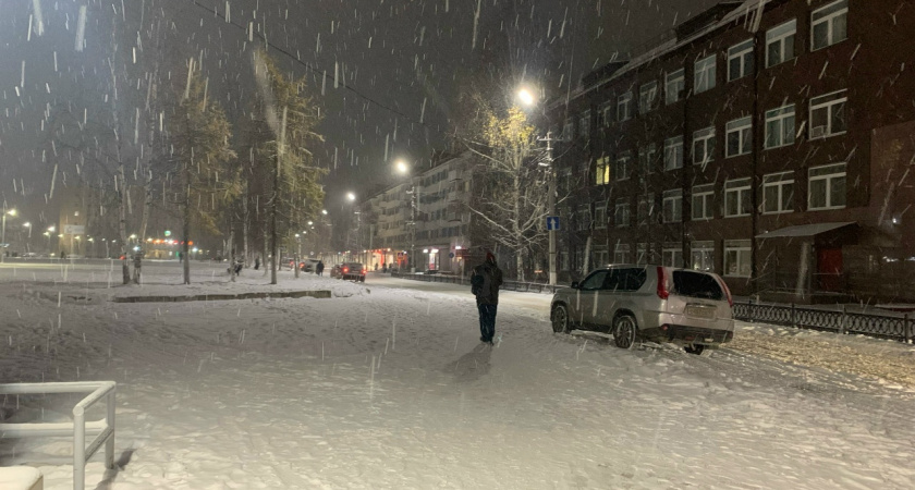 Снежный циклон накроет Челябинскую область в конце декабря