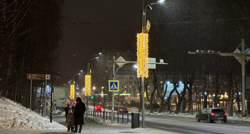 В Челябинской области 2 января ожидаются метели, снежные заносы и порывистый ветер