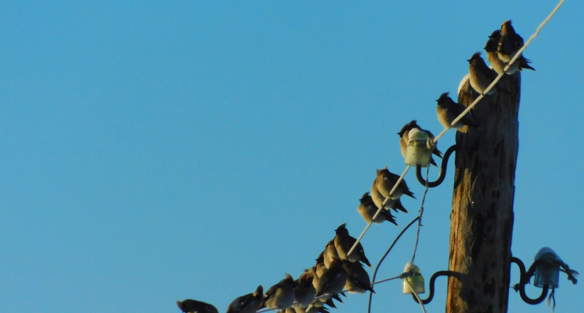 В Челябинской области ожидается ухудшение погоды 11 января