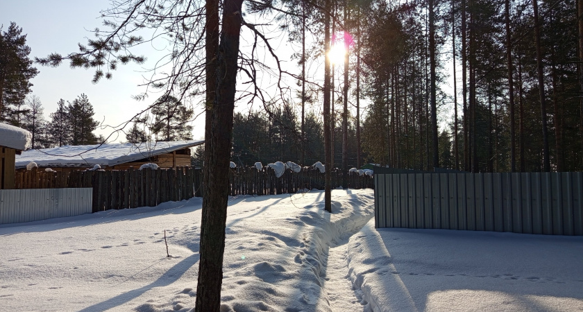 Челябинскую область 2 февраля ожидает морозная погода с небольшим снегом