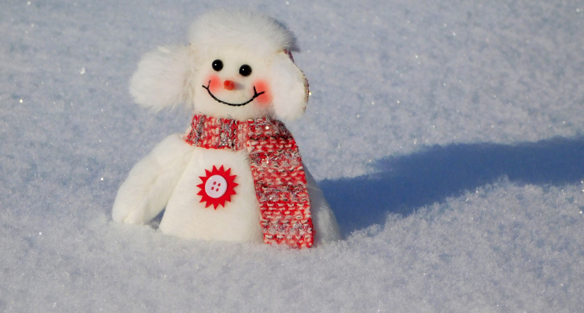В Челябинской области установится морозная и ветреная погода 5 февраля