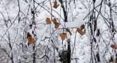 Названа дата старта зимы в городах России: снегопады и холода начнутся внезапно и рано