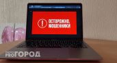 Мошенники украли у жительницы Челябинской области 2,5 миллионов рублей