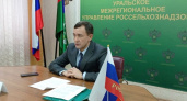 Челябинский Россельхознадзор: как увеличение количества проверок помогло выявить на 20% больше нарушений в 2024 году