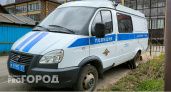 В Челябинске полиция нашла предполагаемого хулигана, бросившего петарду в маму с ребенком