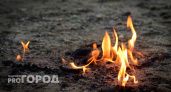 В Челябинской области начал действовать особый противопожарный режим