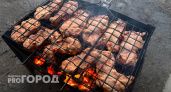 Шашлык без пожаров: как в Челябинске предлагают обезопасить отдых на природе