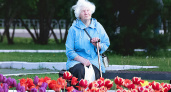 Теперь полностью запрещено. Пенсионеров, доживших до 70 лет, ждут ограничения с 3 мая