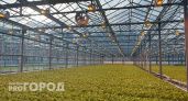 Ученые Челябинской области разрабатывают технологию озеленения пустынь