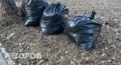 В Челябинске после серии субботников собрали 101 тысячу мешков мусора