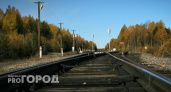 В Челябинской области поезд сбил женщину
