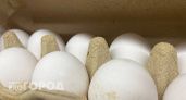 Челябинск экспортировал первую партию яиц в Абхазию