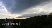 На Челябинскую область надвигаются грозы и шквалистый ветер 