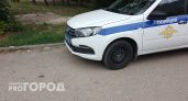 Шокирующая жестокость в Челябинской области: подростки распяли собаку и убивали других животных