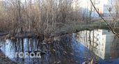 В Челябинской области нелегальная свалка перекрыла водопровод