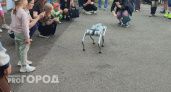  Челябинская область покажет лидерство в робототехнике на "Иннопроме"